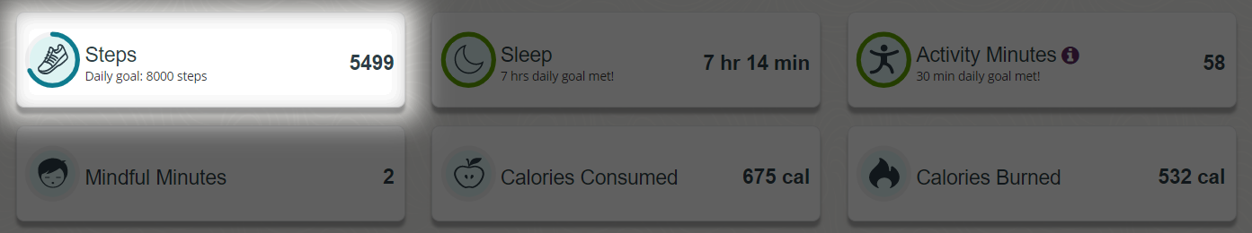 steps_stats.png